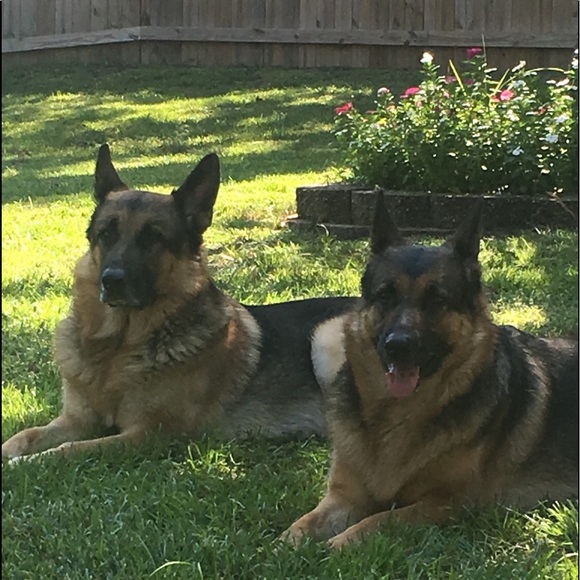 Meet your Posher, Tina - Picture 1 of 1